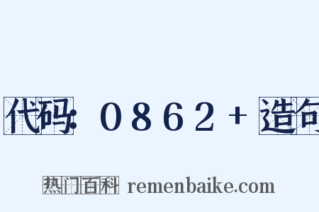 代码：0862+造句是什么意思的图片